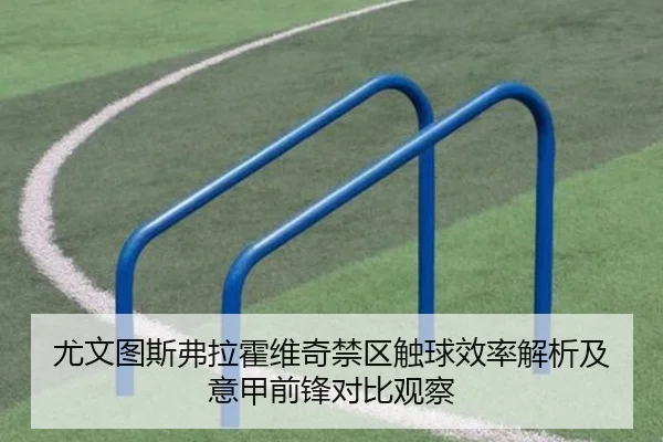 尤文图斯弗拉霍维奇禁区触球效率解析及意甲前锋对比观察 | kaiyun